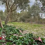Appartement Casa Da Oliveira Pegarinhos