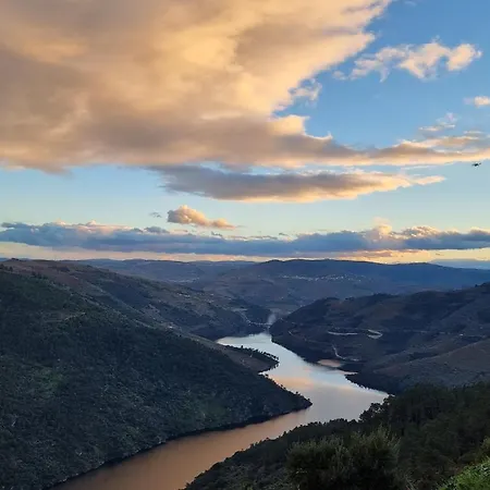 Casa Da Oliveira Apartment