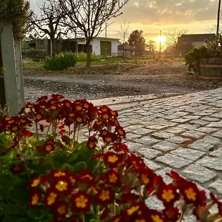 Casa Da Oliveira Appartement Pegarinhos