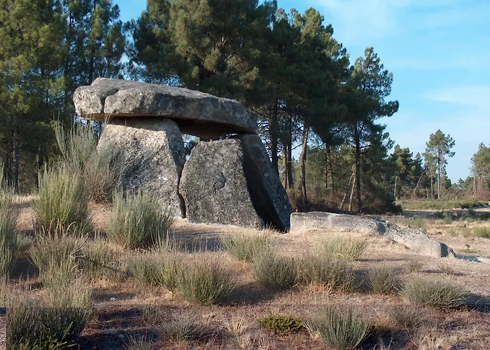 Casa Da Oliveira * Pegarinhos