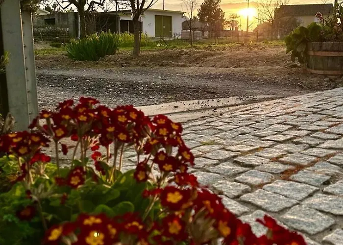 Casa Da Oliveira Апартаменты Pegarinhos